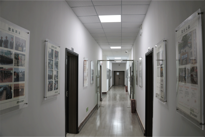 展示區(qū).gif